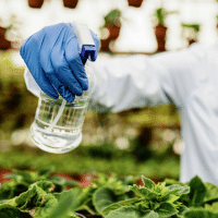 Protocolo de prevención de riesgos ante la aplicación de fitosanitarios